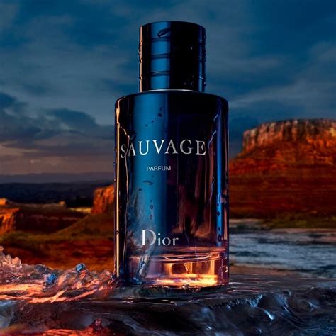 dior sauvage best one|sauvage dior best price.